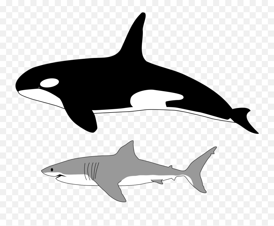 Orca Pixel Transparent Png Clipart - Orca Vs Human Size Emoji,Orca Emoji