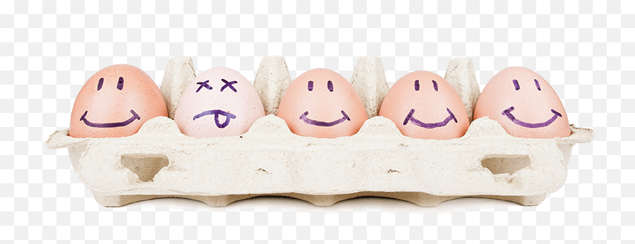 Oops This Link Is A Bad Egg Mailorderpoultrycom - Royal Icing Emoji,Egg Emoticon