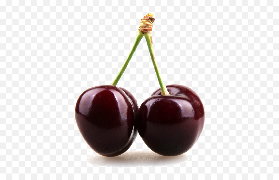 Black Cherry Clipart - Black Cherry Png Emoji,Emoji Cherry