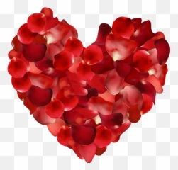 Rose Heart Png Picture - Rose Petal Heart Png Emoji,Maroon Heart Emoji
