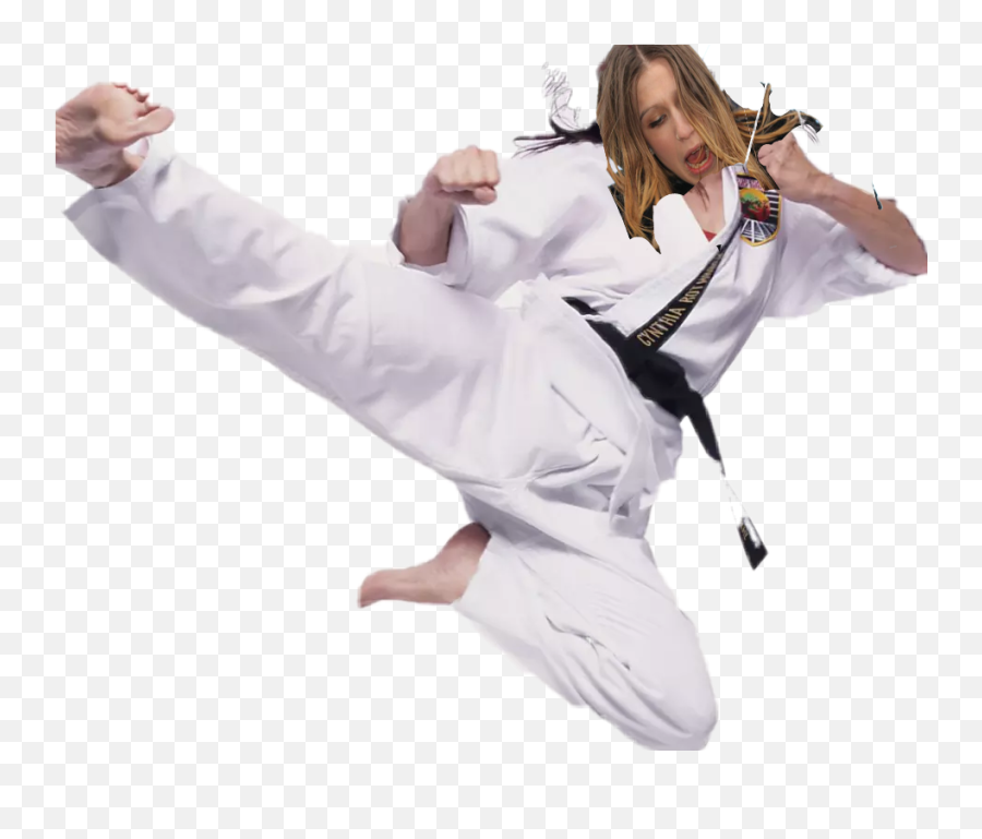 Largest Collection Of Free - Toedit Karatê Stickers Martial Artist Cynthia Rothrock Emoji,Karate Emoji