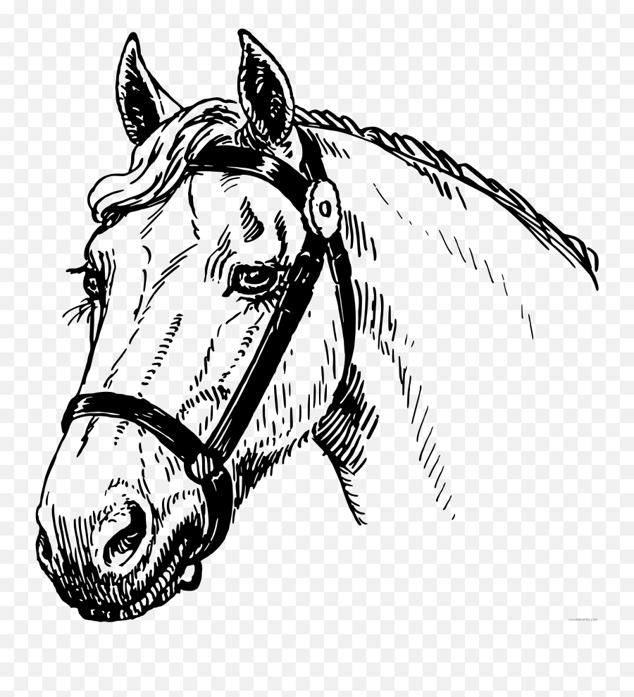 Horse Head Coloring Pages Horsehead3 - Printable Horse Heads Coloring Pages Emoji,Horse Head Emoji