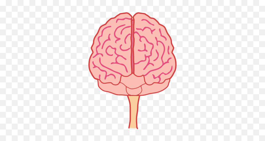 Brain Animated Png U0026 Free Brain Animatedpng Transparent - Brain Front View Png Emoji,Brain Emoji Png