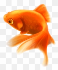 Sea Clicker - Fish Png Emoji,Goldfish Emoji