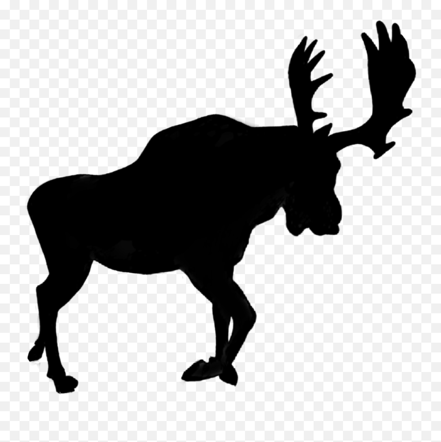 Silhouette Moose Horns Shadow Animal Antlers - Horse Clip Art Silhouette Emoji,Moose Emoji