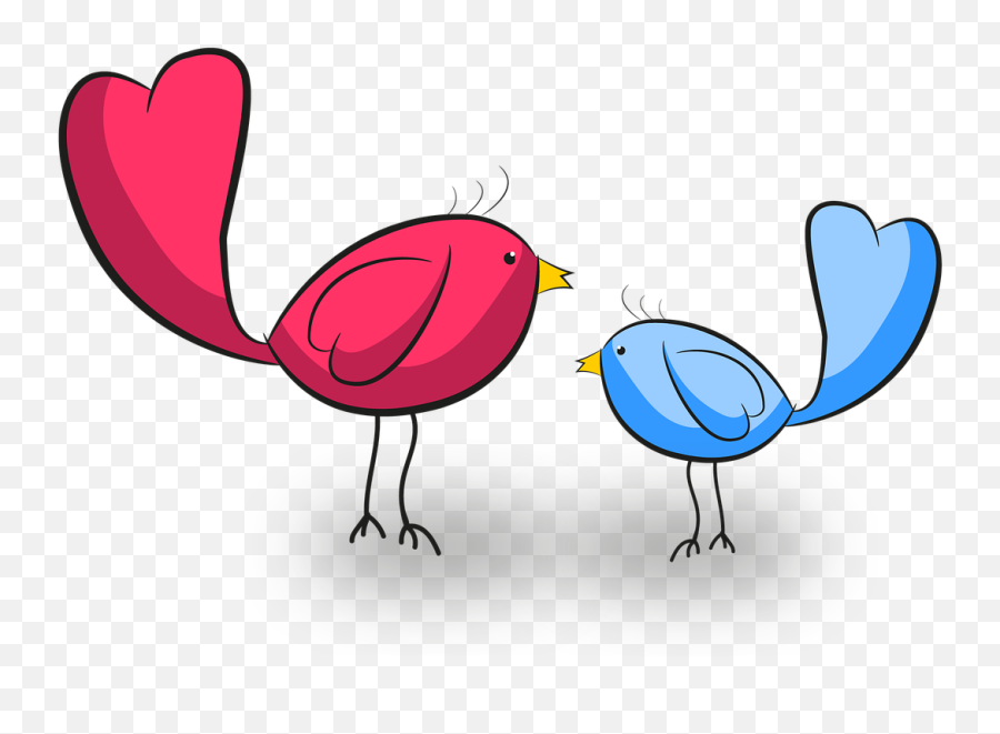 Bird Animals Fly Birds Raptor - Turkey Emoji,Drake Owl Emoji