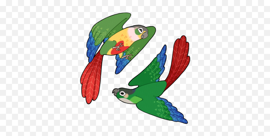 Green Cheek Conures - Green Cheek Conure Clipart Emoji,Parrot Emoticon
