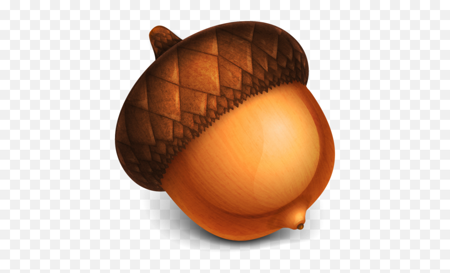 8 Acorn Free - Transparent Background Acorn Clipart Emoji,Acorn Emoji