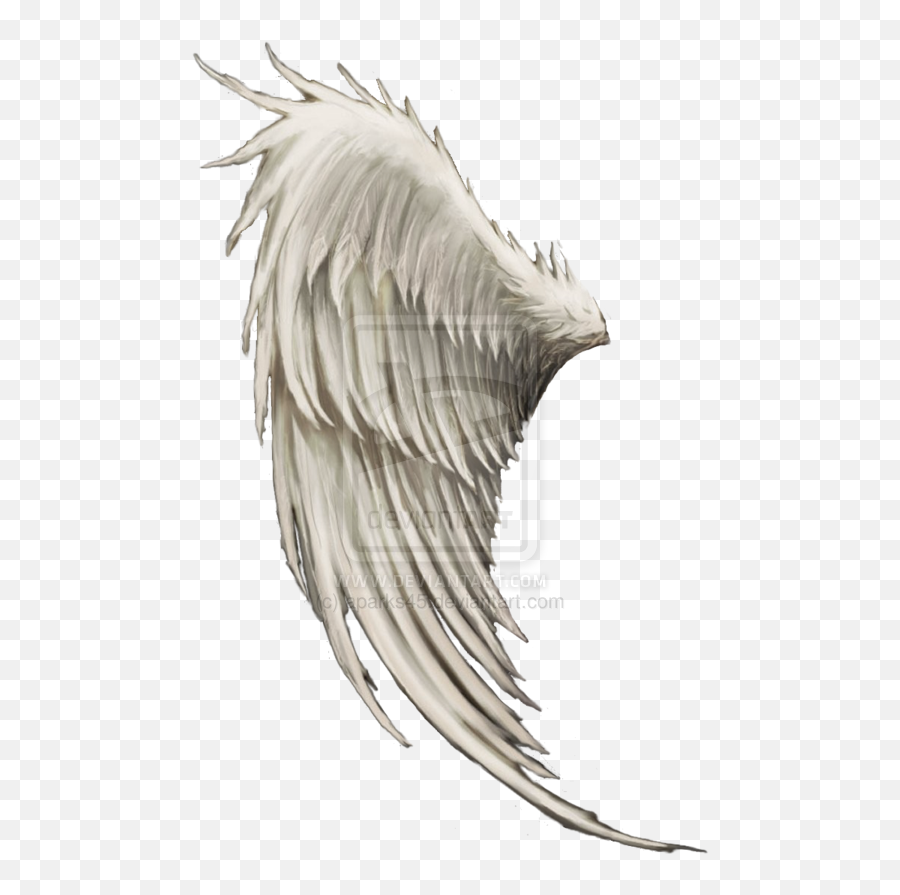 Wing Angel Clip Art - Angel Wings Png Download 600875 Transparent Background Angel Wing Transparent Emoji,Angel Wings Emoji