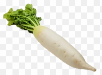 White Radish - Sticker By Kho Mimi White Radish Transparent Background Emoji,Turnip Emoji