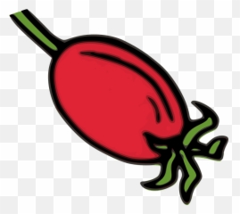 Fruits Vegetables Vectors - Rosehip Clipart Emoji