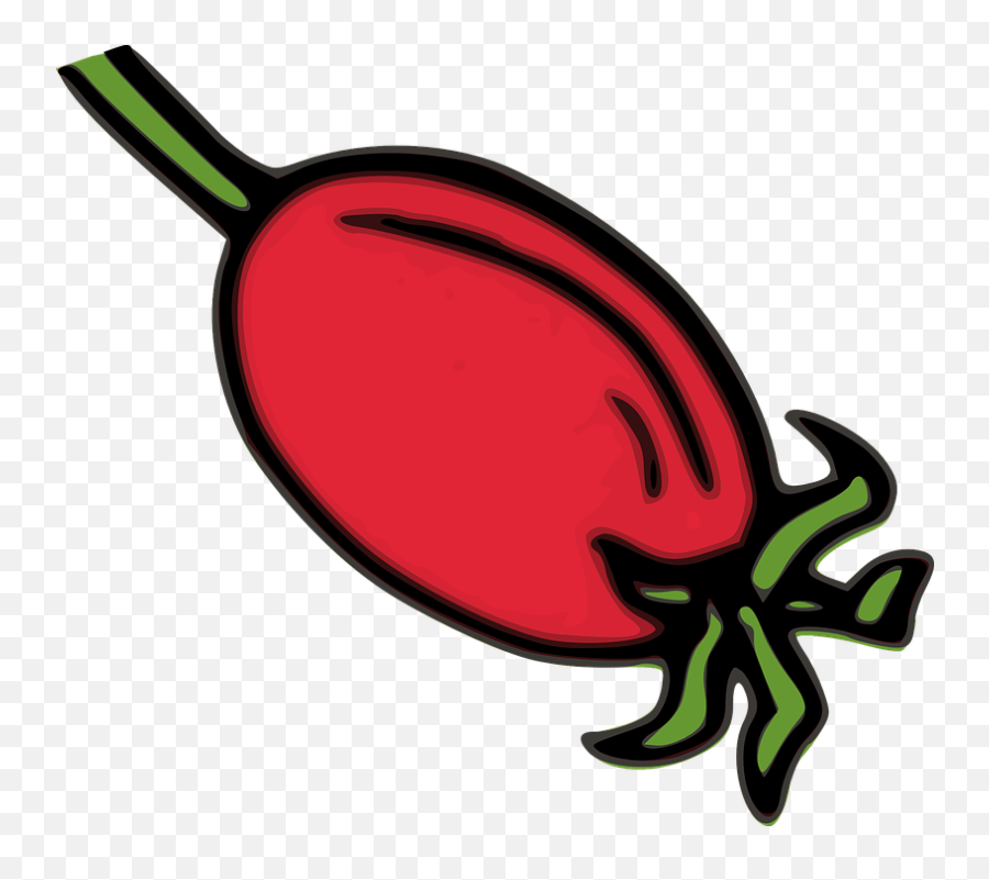 Fruits Vegetables Fruit Vectors - Rosehip Clipart Emoji,Eggplant Emoticon