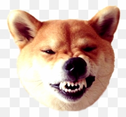 Dogecoin - Shibe Transparent Emoji,Doge Emoji