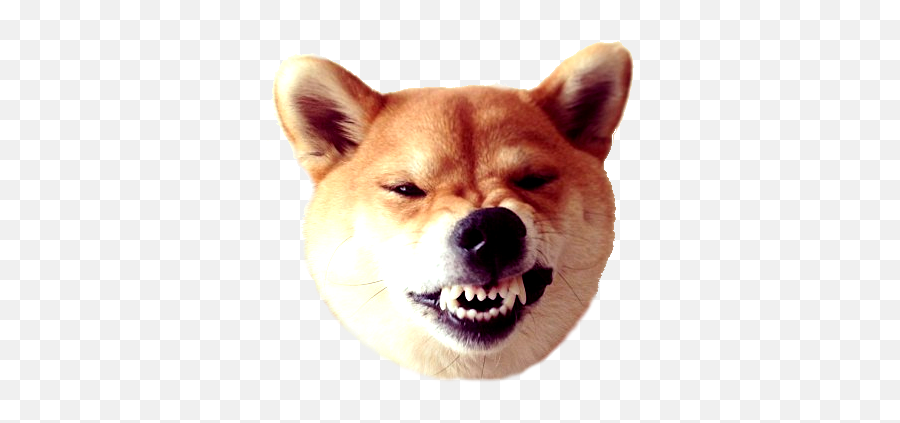 Dogecoin - Shibe Transparent Emoji,Doge Emoji