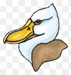 Head Big Bird - Shoebill Png Emoji