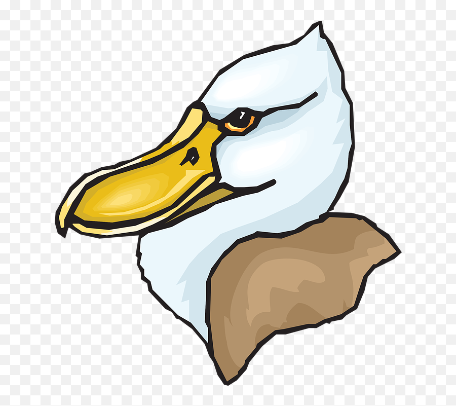 Head Big Bird - Shoebill Png Emoji,Big Fire Emoji