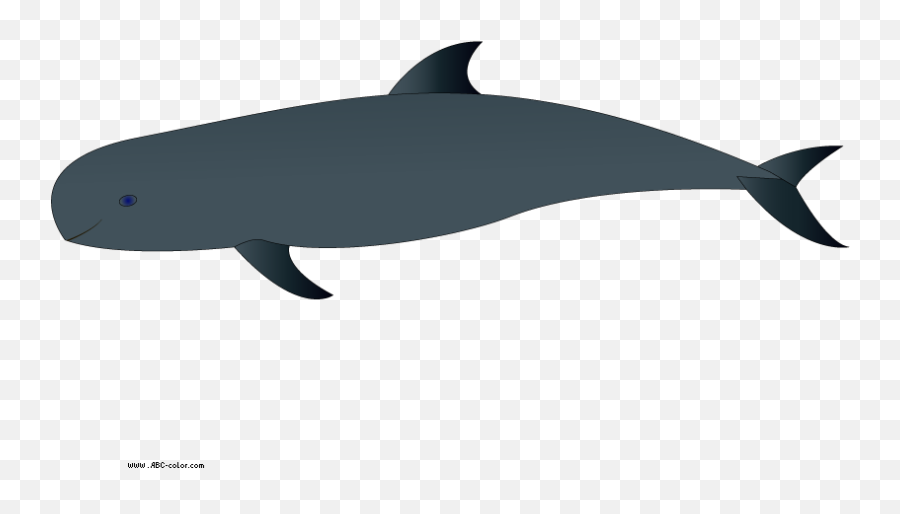 Whale Clip Art - Tucuxi Png Download Full Size Clipart Transparent Background Whale Clip Art Emoji,Whale Emoji