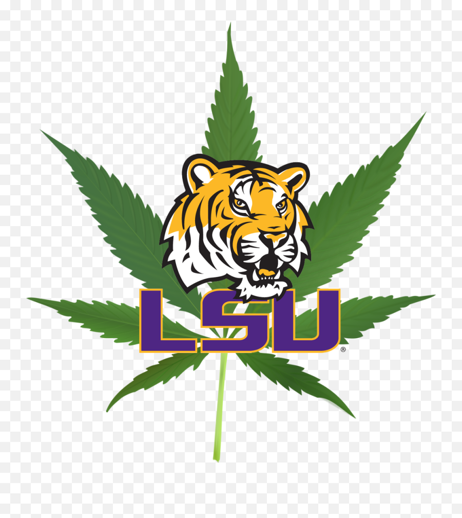Medical Marijuana Leaf Clipart - Lsu Tigers Football Logo Emoji,Marijuana Leaf Emoji