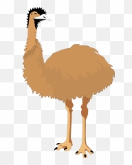 Ostrich Legs Clipart - Art Emu Emoji
