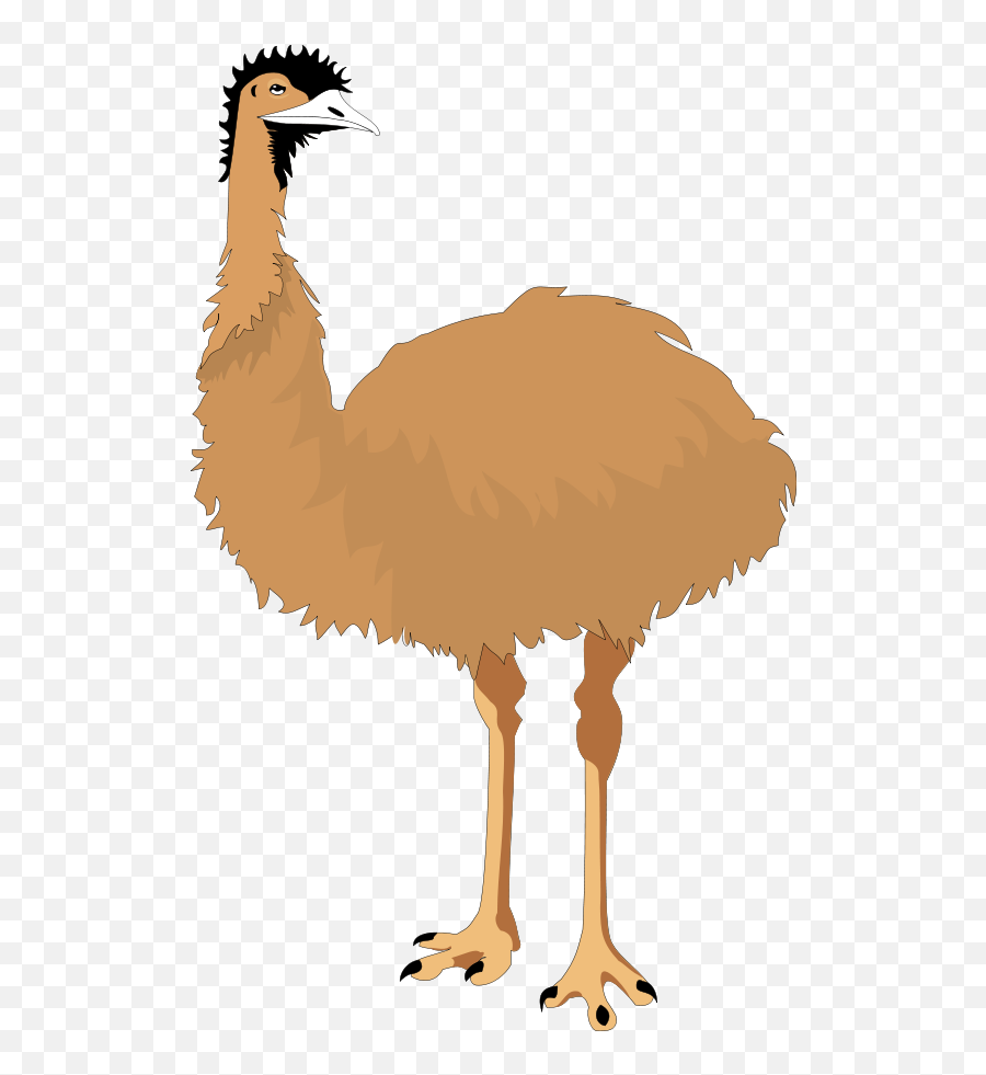 Ostrich Legs Clipart - Clip Art Emu Emoji,Emu Emoji