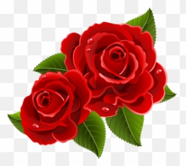 Pin - Beautiful Red Flowers Png Emoji