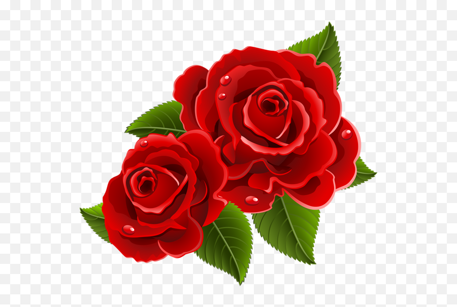 Pin - Beautiful Red Flowers Png Emoji,Red Flower Emoji