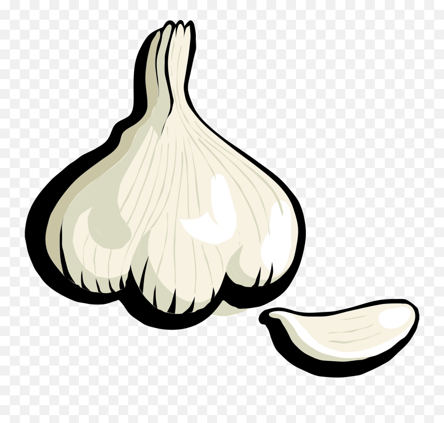Garlic Bulb And Clove Clipart - Garlic Clip Art Emoji,Garlic Emoji