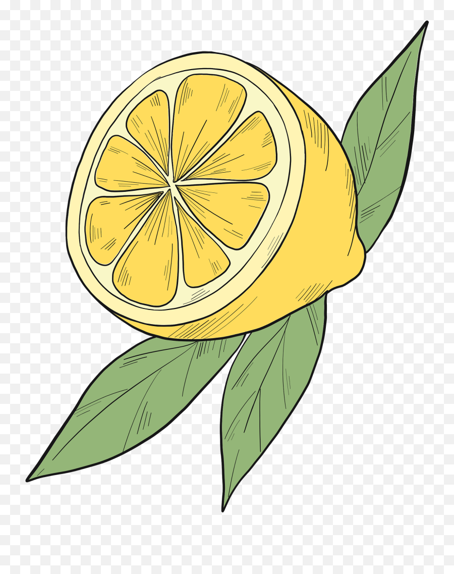 Half Lemon Clipart - Lemon Clipart Emoji,Lemon Emoji Png