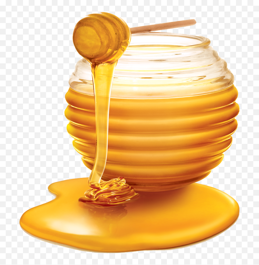 Honey Png Transparent Dripping Honey Honey Bee Free - Honey Clipart Png Emoji,Honey Emoji