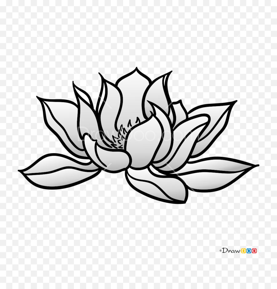 How To Draw Lotus Tattoo Flowers - Sacred Lotus Emoji,Lotus Flower Emoji