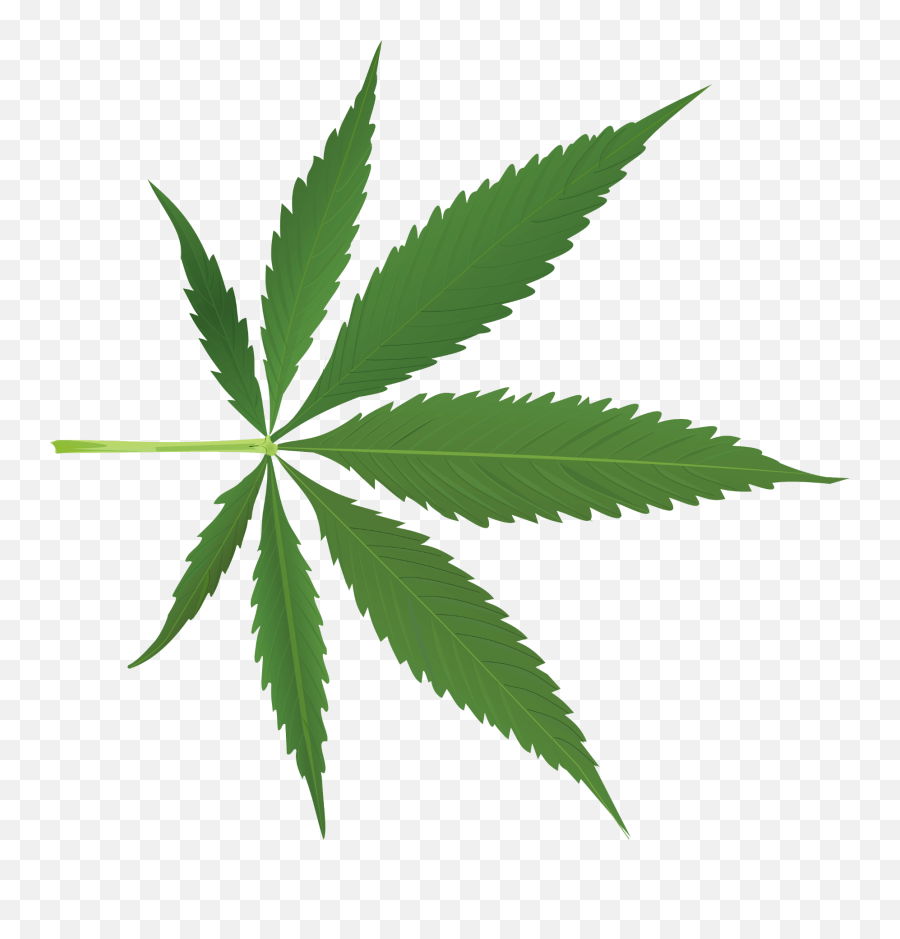 Assorted Art Writing - Marijuana Leaf Silhouette Emoji,Pot Leaf Emoticon