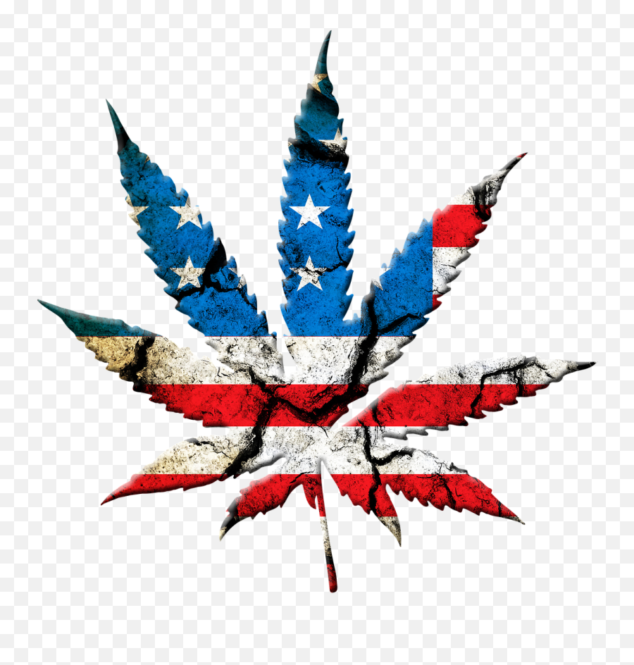 Marijuana Leaf The Flag Graphic Free Pictures Free Photos - Marijuana Leaf Usa Emoji,Marijuana Leaf Emoji
