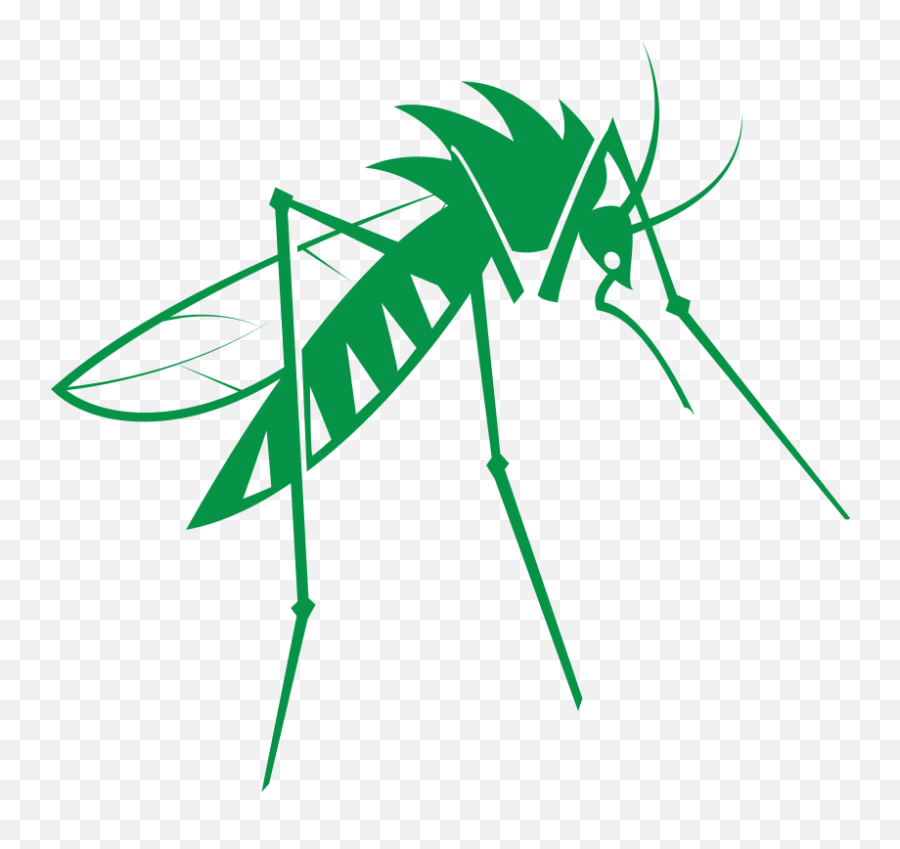 Inspirational Show Me A Picture Of A Mosquito - Dile No Al Chikungunya Emoji,Mosquito Emoji