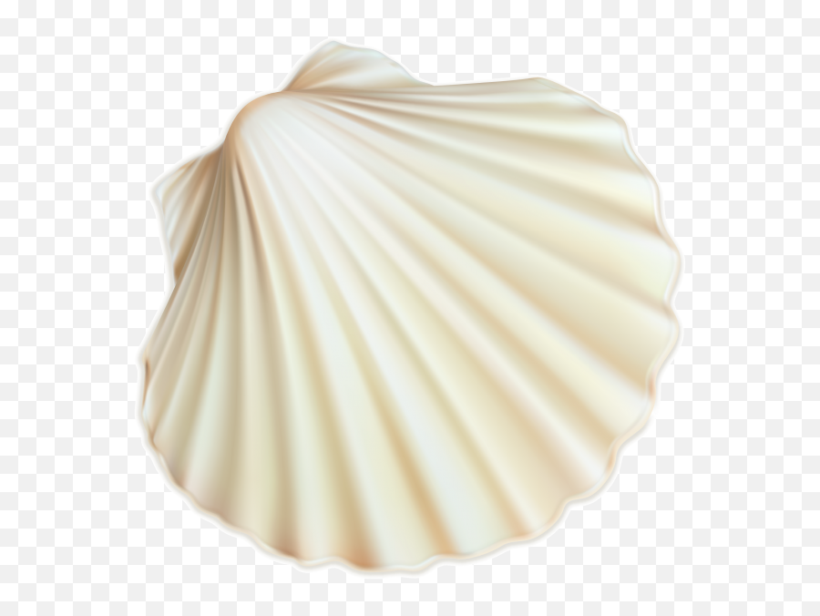 Tiger Png Transparent Background Image For Free Download - Transparent Sea Shell Emoji,Seashell Emoji
