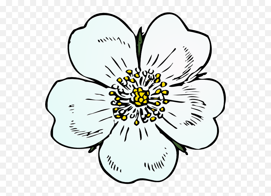 Apple Blossom Clip Art Transparent Png - Wild Rose Clipart Emoji,White Rose Emoji