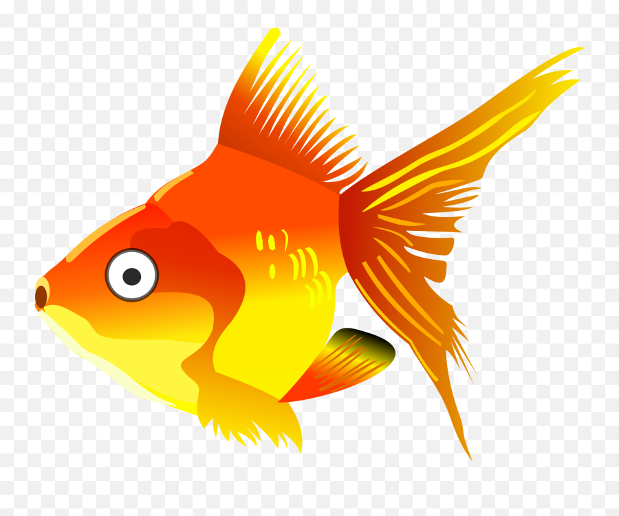 Goldfish In A Bowl Transparent Png - Fish Clipart Emoji,Goldfish Emoji