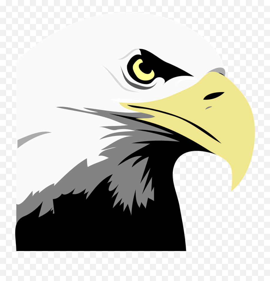 Eagle Eyes Face Bald America - Animated Pictures Of Eagles Emoji,Emoji With Star Eyes