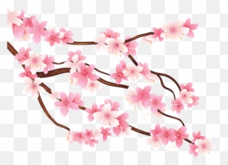 Transparent Background Aesthetic Transparent Cherry Blossom - Transparent Cherry Blossom Png Emoji,Sakura Blossom Emoji