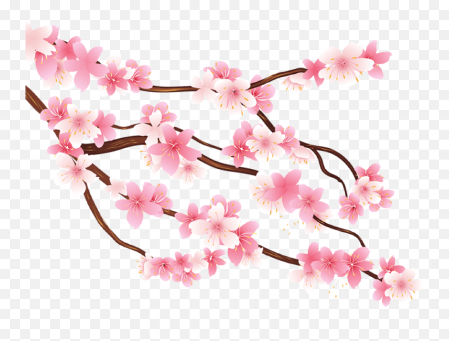Transparent Background Aesthetic Transparent Cherry Blossom - Transparent Cherry Blossom Png Emoji,Sakura Blossom Emoji