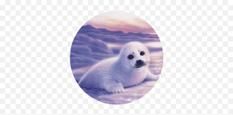 Seal Sticker Challenge - Seal Animal Fantasy Art Emoji,Seal Emoji