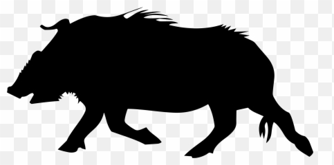 Wild Boar Silhouette Clip Art - Png Emoji