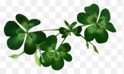 Shamrock Png - Transparent Background Emoji