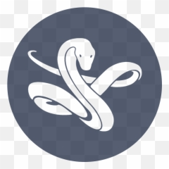 Transparent Snake - Miraculous Viperion Emoji