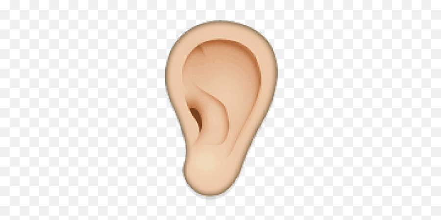 Download Free Png Ear Of Corn Icon Noto Emoji Food Drink - Ear Emoji,Earring Emoji