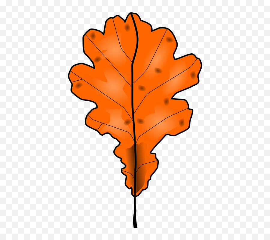 Free Greenery Leaves Vectors - Dead Tree Leaf Clipart Emoji,Fall Emoji