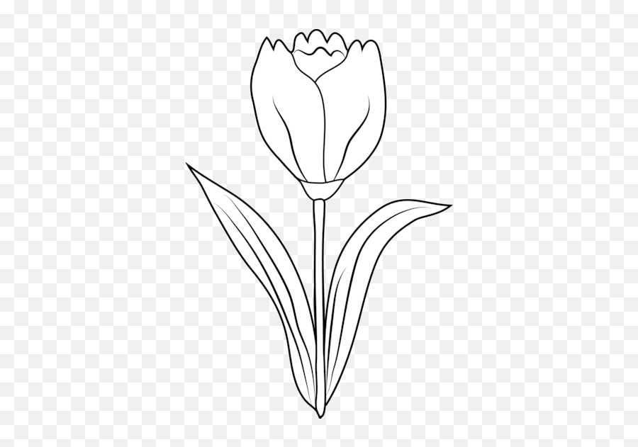 Tulip Flower Coloring Page Free Clip - Tulip Flower Clipart Black And White Emoji,Tulips Emoji