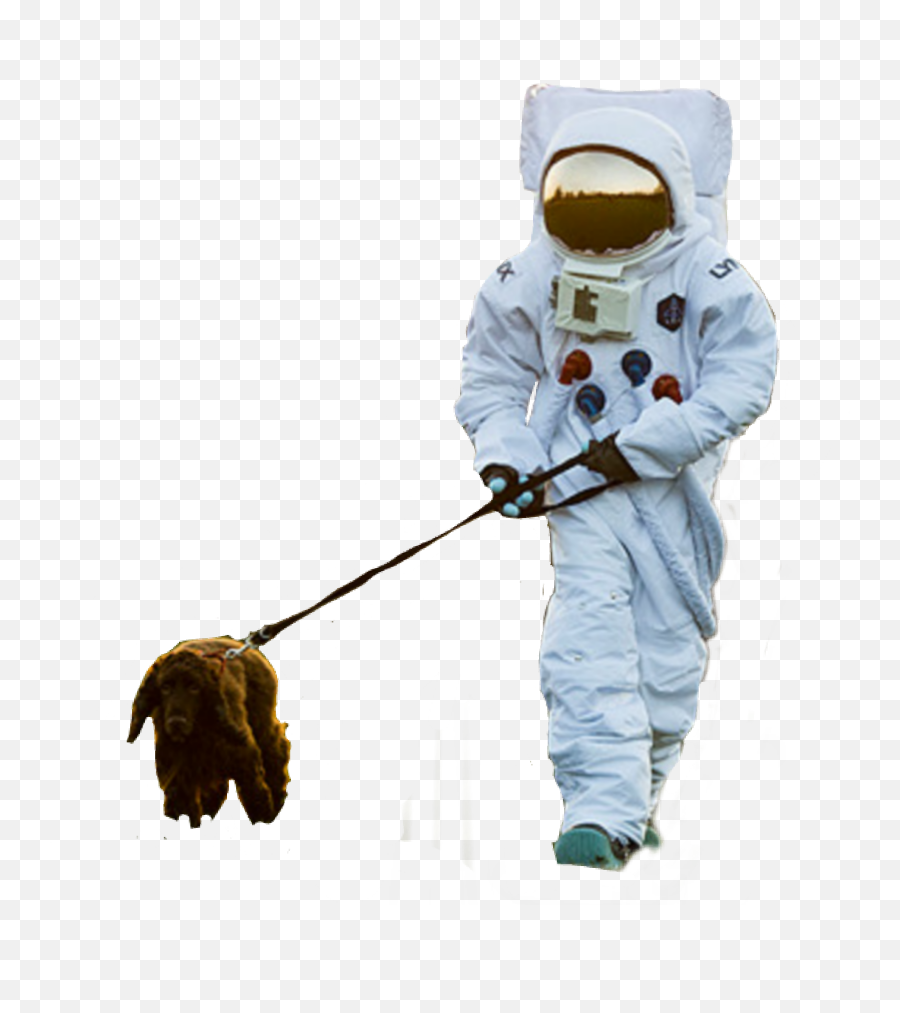Astronaut Dog Walk Walking - Astronaut Walking Png Emoji,Dog Walking Emoji