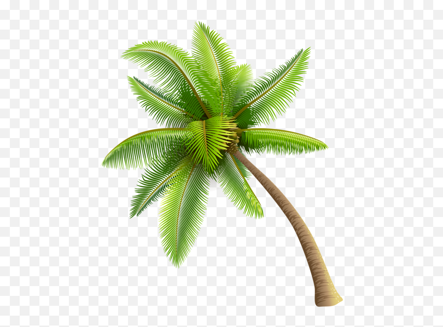 Coconut Tree Clipart Png - Transparent Transparent Background Coconut Tree Png Emoji,Palm Tree Emoji Transparent