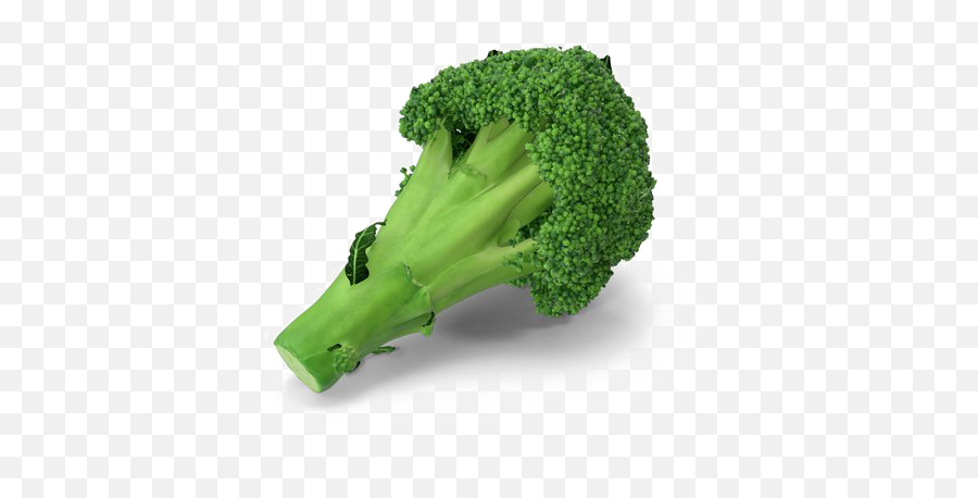Broccoli Png Transparent Image Png Svg Clip Art For Web - Superfood Emoji,Broccoli Emoji
