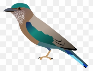 Coraciasbenghalensis - Indian Roller Drawing Easy Emoji,Is There A Feather Emoji